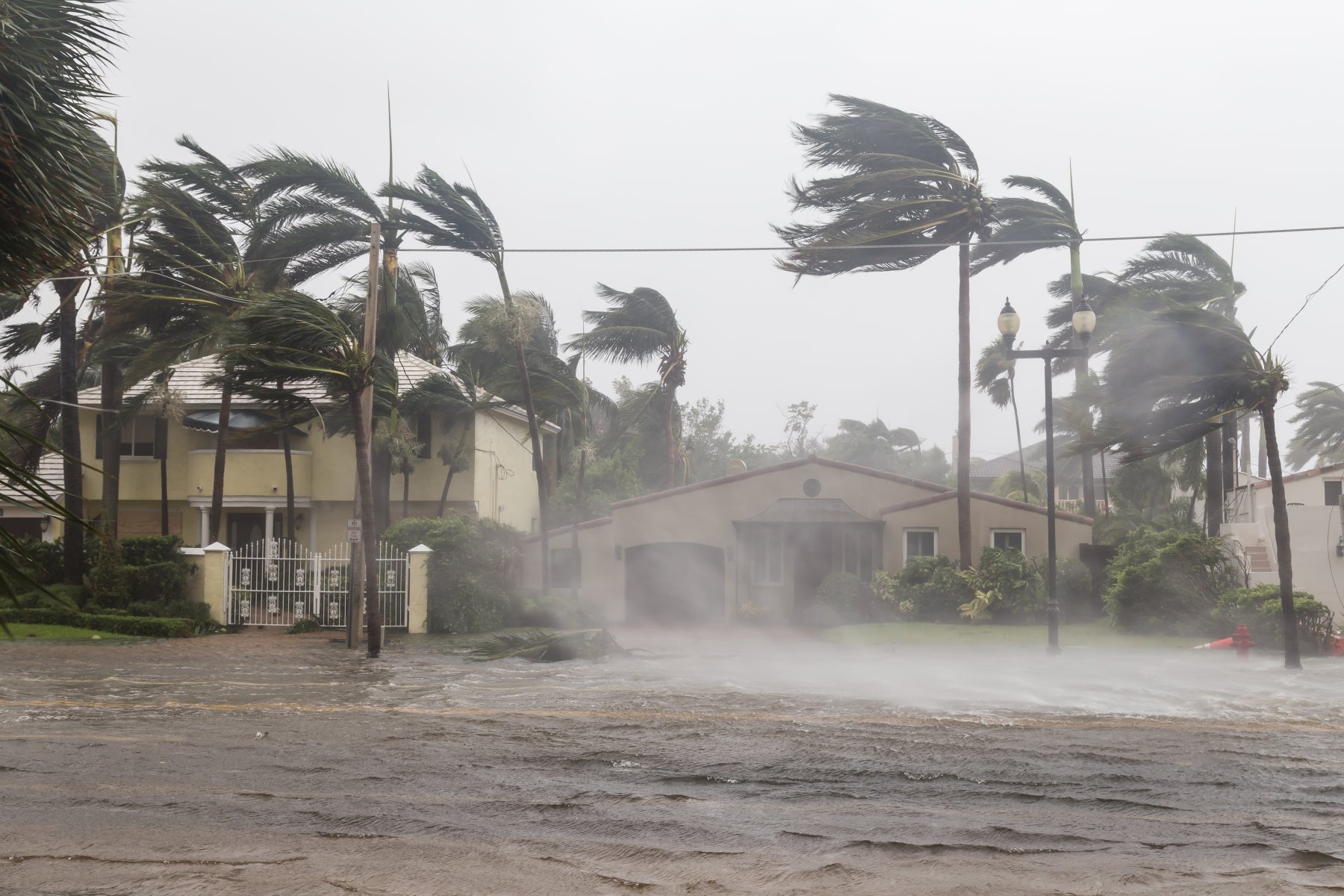 How Florida Is Designed to Withstand Hurricane Season