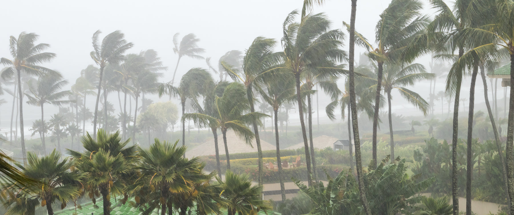 The Arrival of The Atlantic Hurricane Season 2021