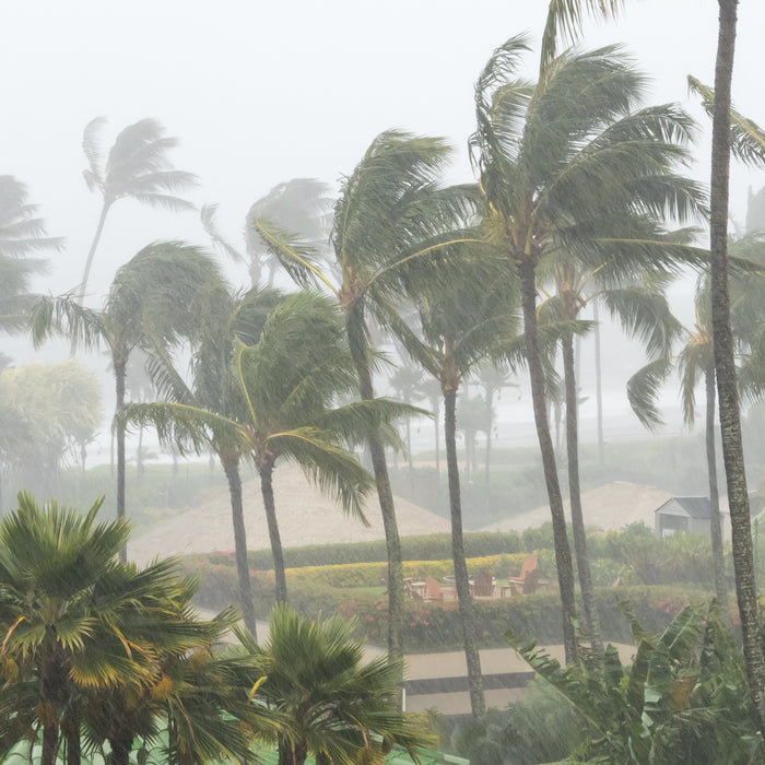 The Arrival of The Atlantic Hurricane Season 2021