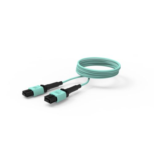 DMSI MTP to MTP 12 Fiber OM3 Cable
