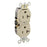 Leviton Manufacturing Company Duplex Receptacle Outlet,NEMA 5-20R,20A,2P3W,Self Gnd-IV