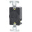 Leviton Manufacturing Company Single Receptacle 2P2W, NEMA L2-20, 20A, 250V-Black