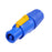 New Genie Group NAC3FCA