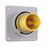 Arrow Hart Inlet Pin&Sleeve 20A 125V 2P3W White  Yellow