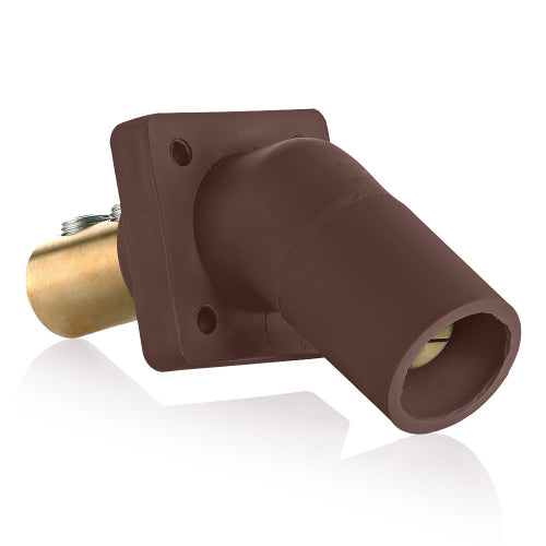 Leviton Series 16 Brown Male Panel Receptacle, DSS, 45D Tape Nose 2/0-4/0