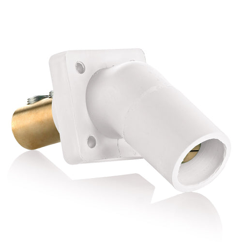 Leviton Series 16 White Male Panel Receptacle, DSS, 45D Tape Nose 2/0-4/0